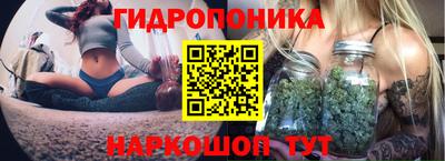 ешки Заволжье
